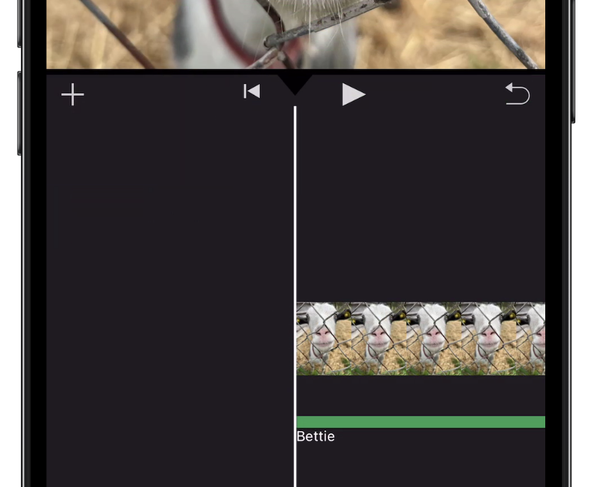 7.png